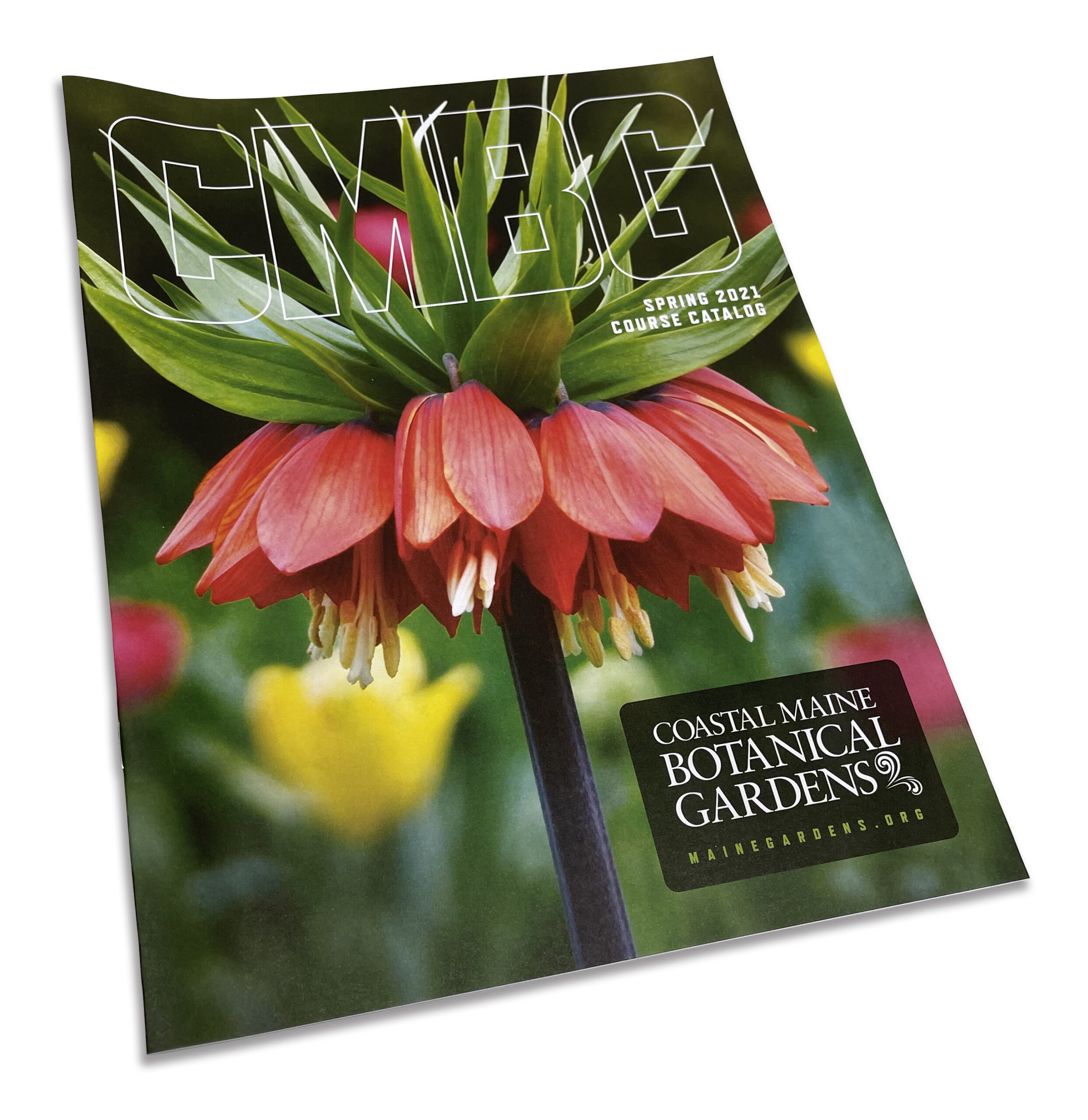 Coastal Maine Botanical Gardens Catalog Penmor